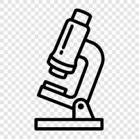 microscope, magnifying glass, lens, light microscope icon svg