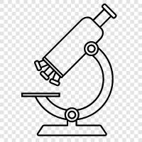 microscope, optical microscope, microscope pictures, microscope pictures of bugs icon svg