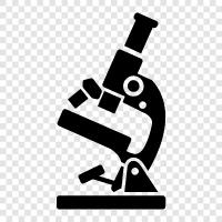 microscopes, microscope pictures, microscope image, microscope pictures of bacteria icon svg