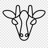 milk, cheese, farming, animals icon svg