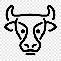 milk, beef, cheese, bovine icon svg