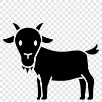 milk, cheese, farming, animal icon svg