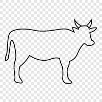 milk, beef, bovine, farm icon svg