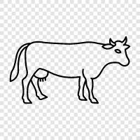 milk, beef, bovine, farming icon svg