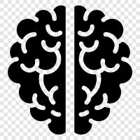 mind, intelligence, learning, memory icon svg