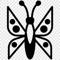 Monarch, Monarchidae, Lepidoptera, Papilionidae icon svg