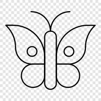 Monarch, Erhaltung, Lebensraum, Lepidoptera symbol