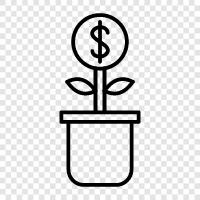 money tree care, care for a money, money tree icon svg