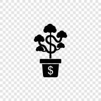 Money Tree, Financial Plant, Wealthy Plant, Prosperity Plant icon svg