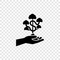 Money Tree, Financial Plant, Cash Plant, Financial Tree icon svg