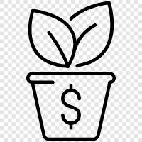 Денежный семечник, уход за деневыми деревьями, чаевые денег, выращивание денег Значок svg