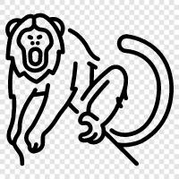 monkey, ape, primate, animal Значок svg