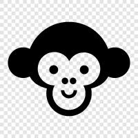 monkey, ape, facial features, human face icon svg