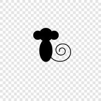 monkey, monkey see, monkey do, monkey funny icon svg