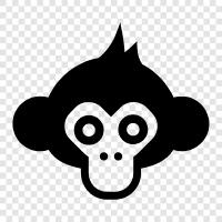 monkey, face, funny, cute icon svg