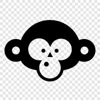 monkey, monkey face picture, monkey face wallpaper, monkey face photos icon svg