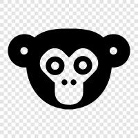 monkey, anime, cartoons, funny icon svg