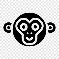 monkey, faces, human, character icon svg