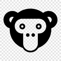 monkey, ape, face, humans icon svg