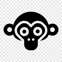 monkey, facial features, human, ape icon svg