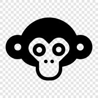 monkey, faces, human, ape icon svg