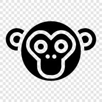 monkey, ape, face, cute icon svg