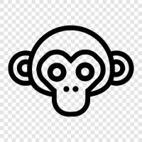 monkey, ape, face, human icon svg