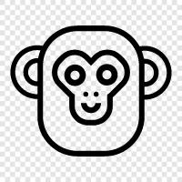 monkey, ape, facial features, humanlike icon svg