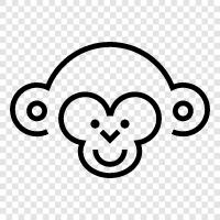 monkey, face, wrinkled, ape icon svg