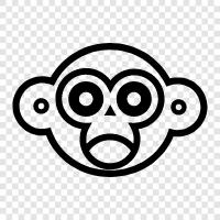 monkey, face, human, emotions icon svg