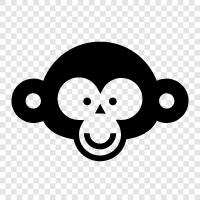 monkey, ape, faces, human icon svg