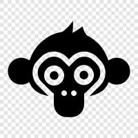 monkey features, monkey face shape, monkey features shape, monkey face shape 2018 icon svg