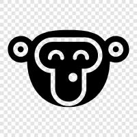 monkey features, monkey face icon svg