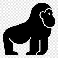 monkey, baboon, gorilla, chimpanzee icon svg