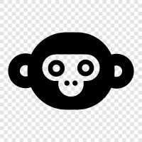 monkey picture, monkey wallpaper, funny monkey face, animated monkey face icon svg