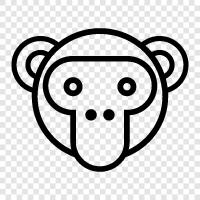 monkey pictures, funny monkey pictures, funny monkey, monkey face icon svg