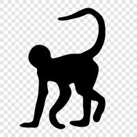 monkeys, primates, animal, big icon svg