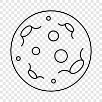 Moon rocks, Moon dust, Moon landing, Moon rover icon svg