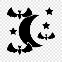 Mond mit Fledermaus, Fledermausmond, Fledermausmondlandung symbol