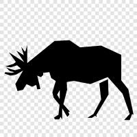 Moose Hunting, Moose Hunting Tips, Moose Hunting Videos, Moose Hunting Tips and icon svg