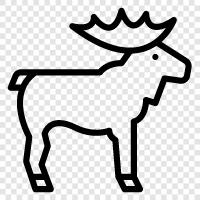 moose icon svg