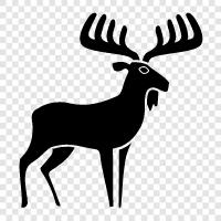 Moose icon svg