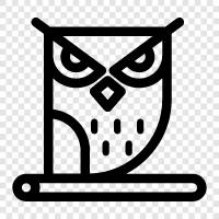 morning person, owl, slumber, sleepy icon svg