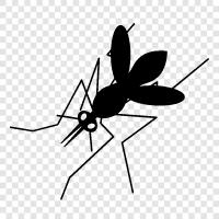 mosquito control, mosquitoes, vector control, mosquito larva icon svg