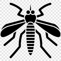 mosquito net, malaria, vector, Aedes aegypti icon svg