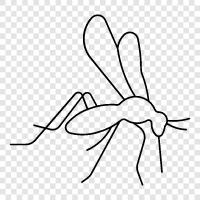 Moskitonetz, Bettnetz, Malaria, Dengue symbol