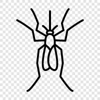mosquitoes, bug, flying, biting icon svg