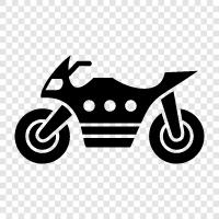 mountain bike, BMX bike, cruiser bike, dirt bike icon svg