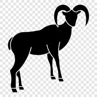 Mountain sheep, Rangelands, Horns, White icon svg