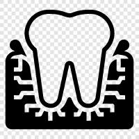 mouth, gums, tooth, mouthwash icon svg